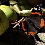 5 Vantagens do Crediário para Aumentar as Vendas da Sua Loja