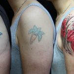 Como Sair do Vermelho: Passo a Passo para Quitar suas Dívidas Bancárias
