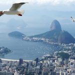 O que você precisa saber sobre consulta de patrimônio?