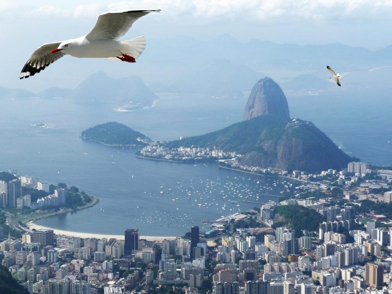O que você precisa saber sobre consulta de patrimônio?