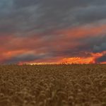Empréstimo para Negativados: Mitos e Verdades