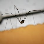Estratégias e Ferramentas para Descobrir Bens Ocultos de Indivíduos