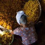 Guia Prático: Como Funciona um Processo Trabalhista?