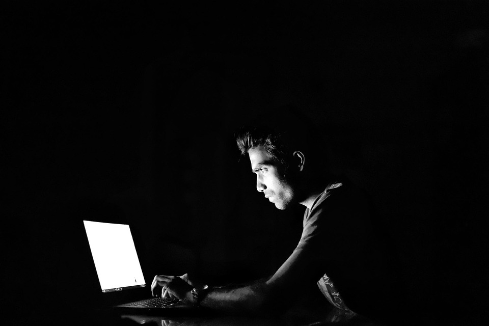 Guia de Tipos de Seguros que Você Pode Contratar Online e suas Coberturas