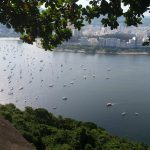 Os Principais Algoritmos Utilizados na Análise de Crédito Automatizada