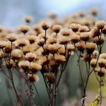 Vantagens de Simular Empréstimo: Por Que Você Deveria Fazer Isso?