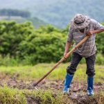 male-farmer-who-is-using-shovel-dig-soil-his-rice-fields-scaled.jpg