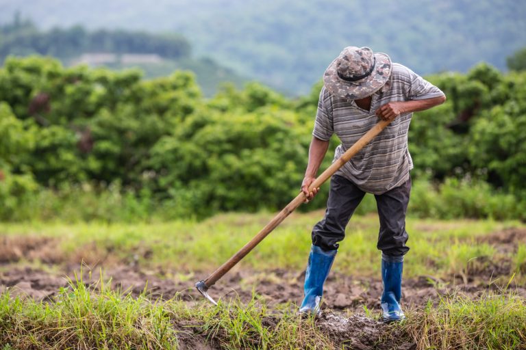 male-farmer-who-is-using-shovel-dig-soil-his-rice-fields-scaled.jpg